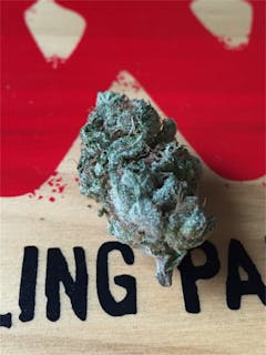 User uploaded image of Bananas