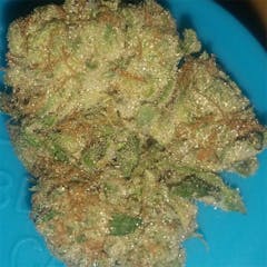 User uploaded image of Bananas