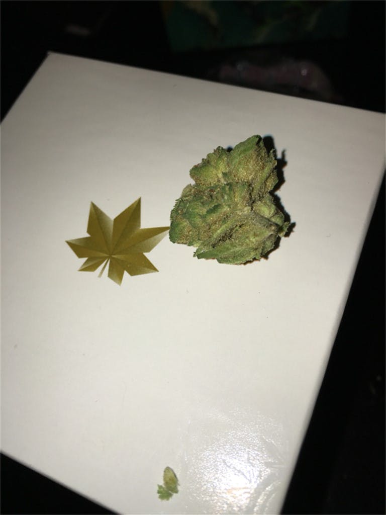 Bananas aka B1, B1 Bananas, Banana Weed Strain Information Leafly