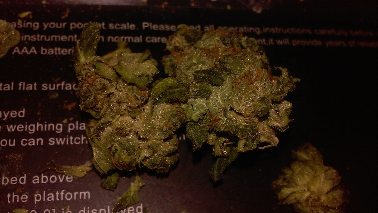 Bananas aka B1, B1 Bananas, Banana Weed Strain Information Leafly