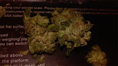 User uploaded image of Bananas