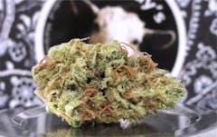 User uploaded image of Bandana