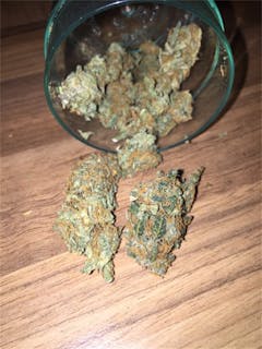 User uploaded image of Barbara Bud