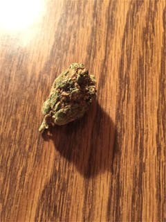 User uploaded image of Barbara Bud