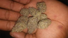 User uploaded image of Bay 11