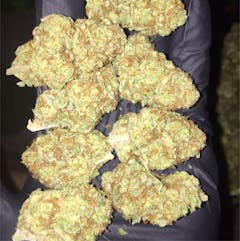 User uploaded image of Bay 11