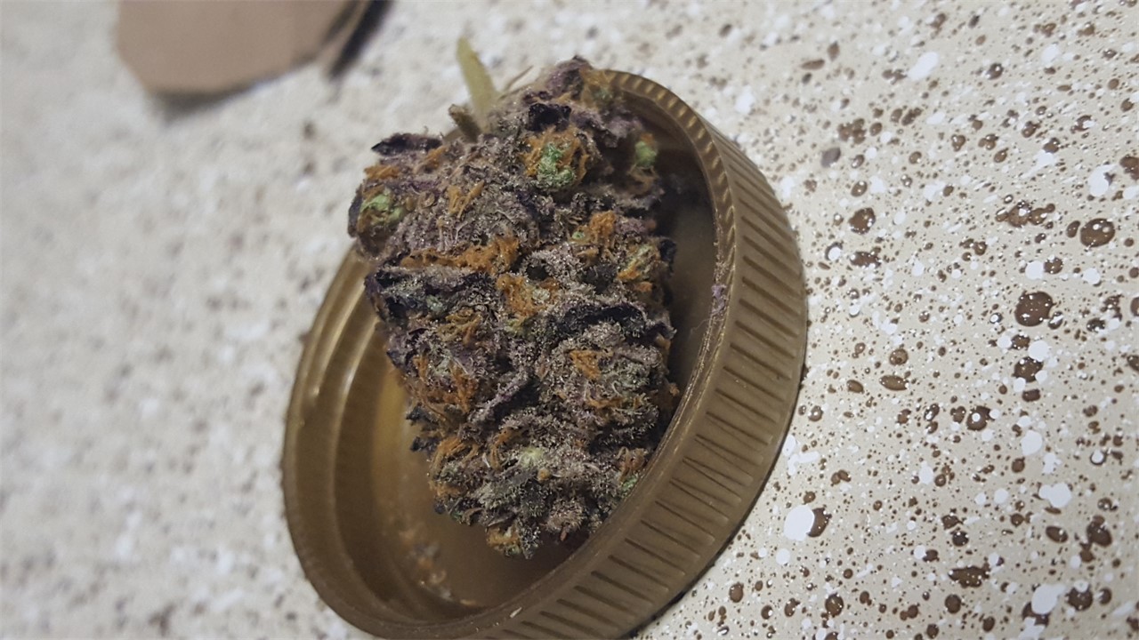 Dingleberry Kush (South Bay Genetics) :: Cannabis Strain Info