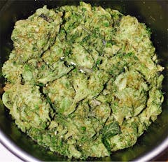 User uploaded image of Bay Dream