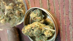 User uploaded image of Bay Dream