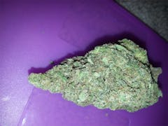 User uploaded image of Bay Dream