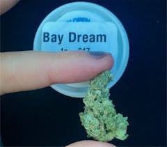User uploaded image of Bay Dream