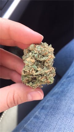 User uploaded image of Bay Dream