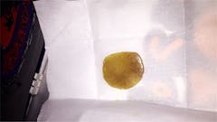 User uploaded image of Bay Dream