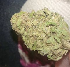 User uploaded image of BC Big Bud