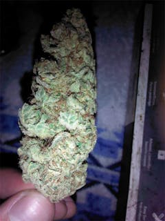 User uploaded image of BC Big Bud
