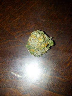 User uploaded image of BC Roadkill