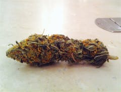 User uploaded image of BC Roadkill