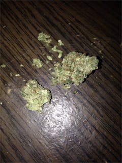 User uploaded image of BC Roadkill