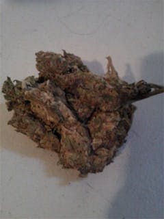 User uploaded image of BC Sweet Tooth