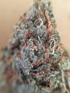 User uploaded image of BC Sweet Tooth
