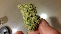 User uploaded image of Beastmode 2.0