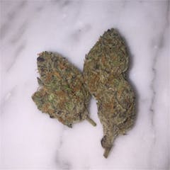 User uploaded image of Beastmode 2.0