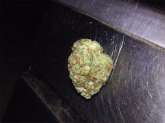 User uploaded image of Beast Mode