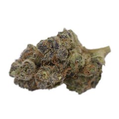 User uploaded image of Bedford Glue