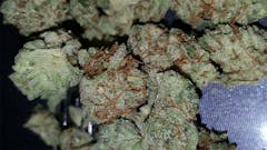 User uploaded image of Belladonna