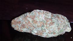 User uploaded image of Belladonna