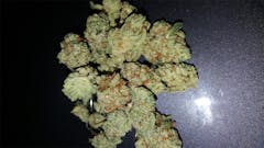 User uploaded image of Belladonna