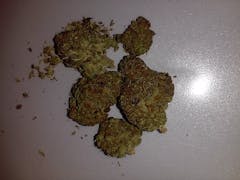 User uploaded image of Belladonna