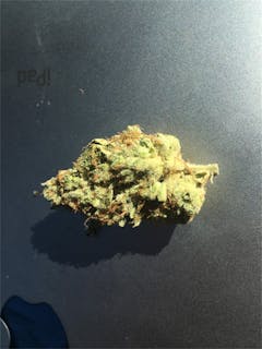 User uploaded image of Belladonna