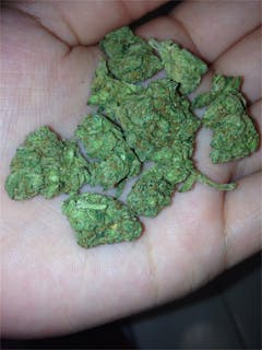 User uploaded image of Belladonna