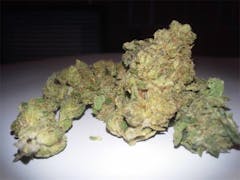 User uploaded image of Berkeley