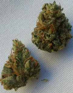 User uploaded image of Berkeley