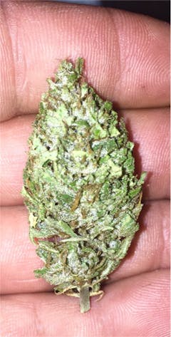 User uploaded image of Berkeley