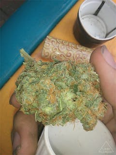 User uploaded image of Berkeley