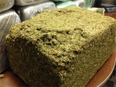 User uploaded image of Berkeley