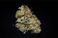 User uploaded image of Berry Bomb