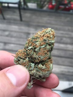 User uploaded image of Berry Bomb