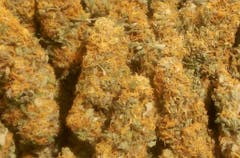 User uploaded image of Berry Bomb