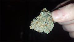 User uploaded image of Berry Noir