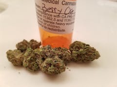User uploaded image of Berry OG