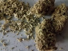 User uploaded image of Berry White