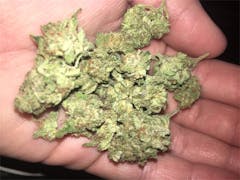 User uploaded image of Bettie Page