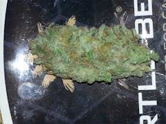 User uploaded image of Bettie Page