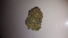 User uploaded image of Bettie Page