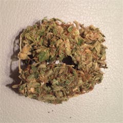 User uploaded image of Bianca