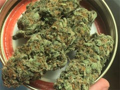 User uploaded image of Biddy Early